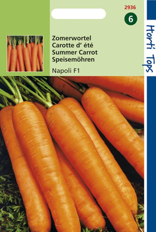 Carrot Napoli F1 (Daucus) 1000 seeds